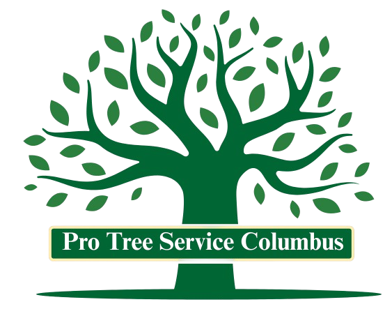 pro tree service columbus ohio