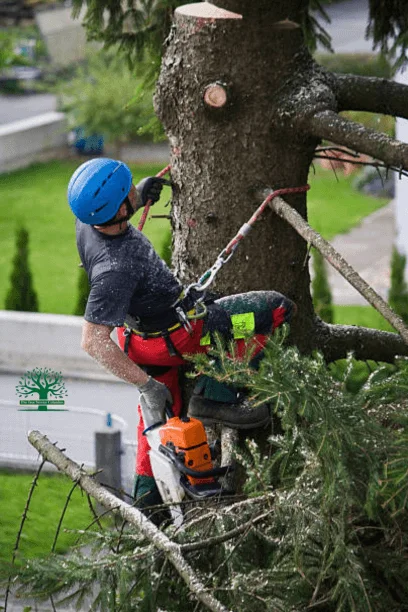 tree service in Columbus, OH