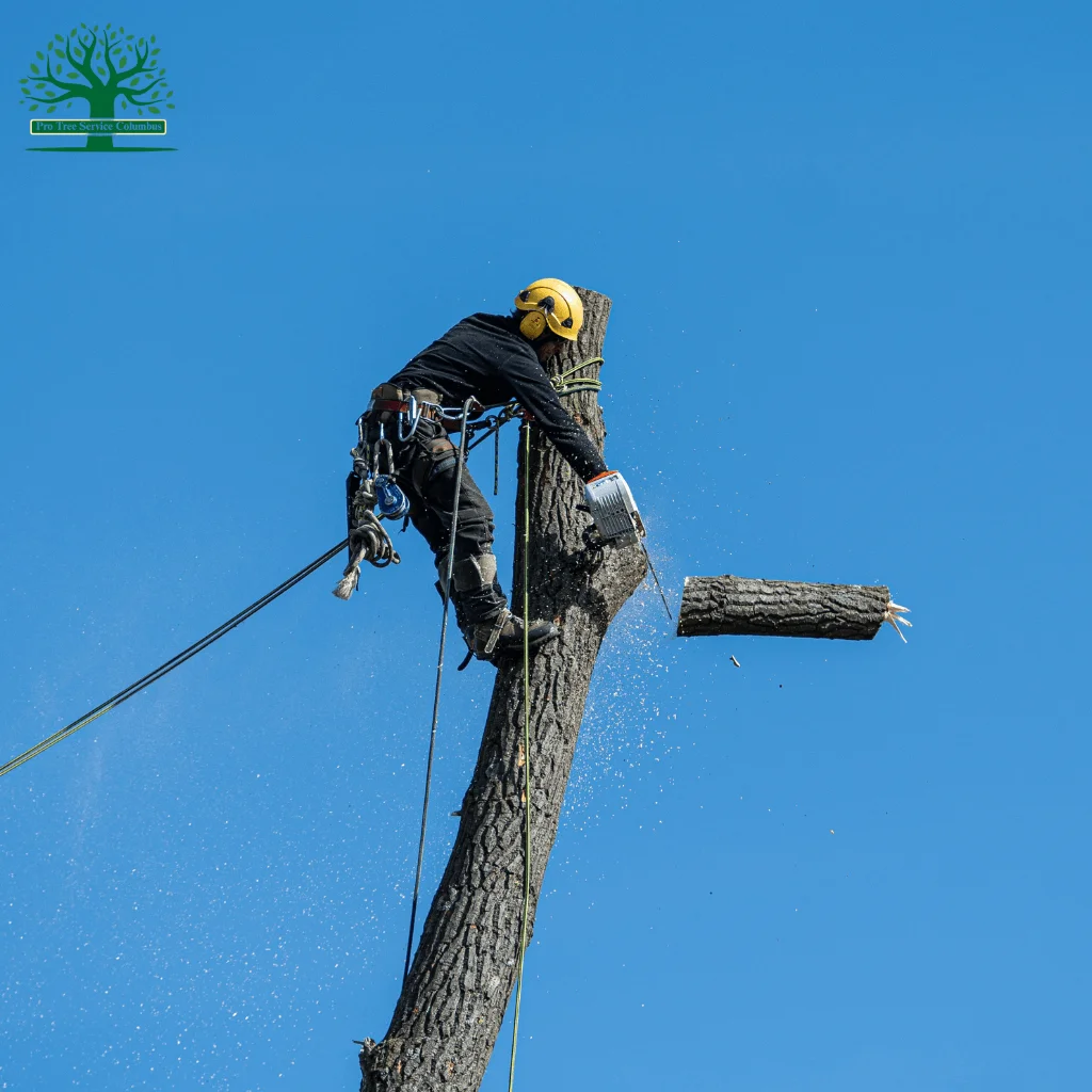 Tree service in columbus in ohio