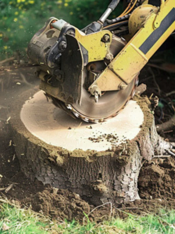 Stump Grinding Columbus Ohio