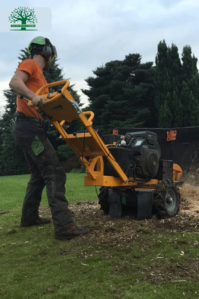 Stump removal columbus ohio