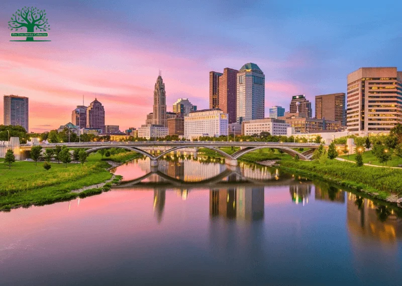 columbus ohio tree service